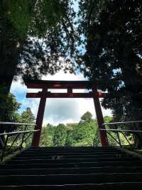 【箱根のパワースポット】フォトスポットとしで大人気の神社⛩️