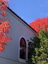 Hunting the beauty of the Fall in a window……