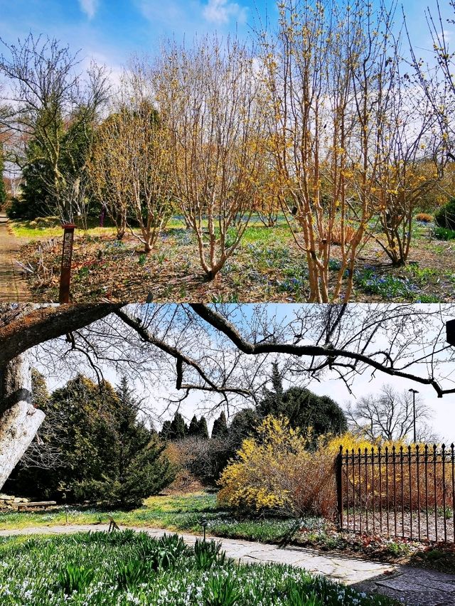 麥迪遜Olbrich Botanical Gardens (奧爾布里希植物園)