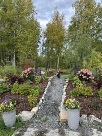 Talkeetna Alaska Springtime haven