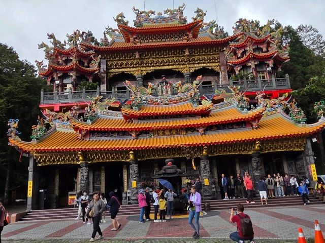 Immense yourself into the greenery of Alishan