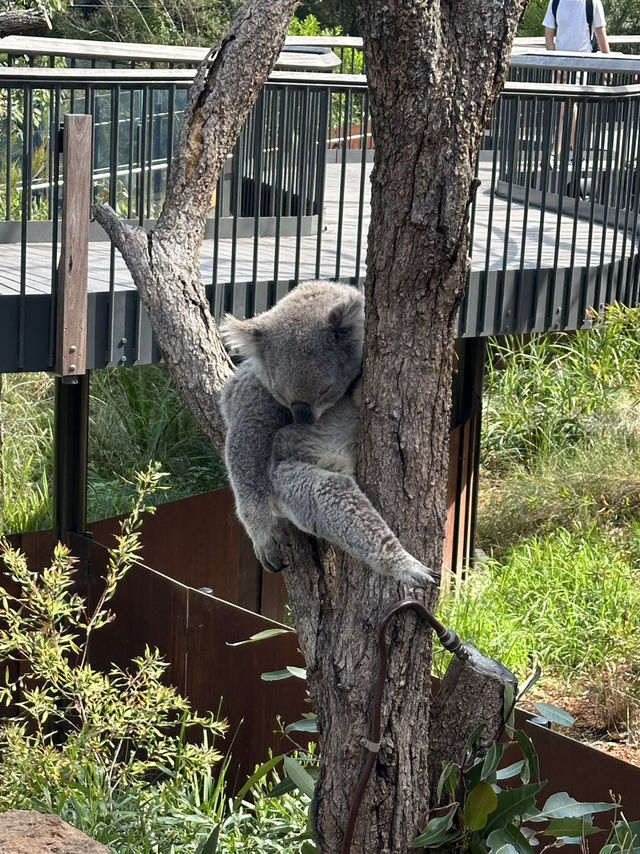 Sydney day trip 