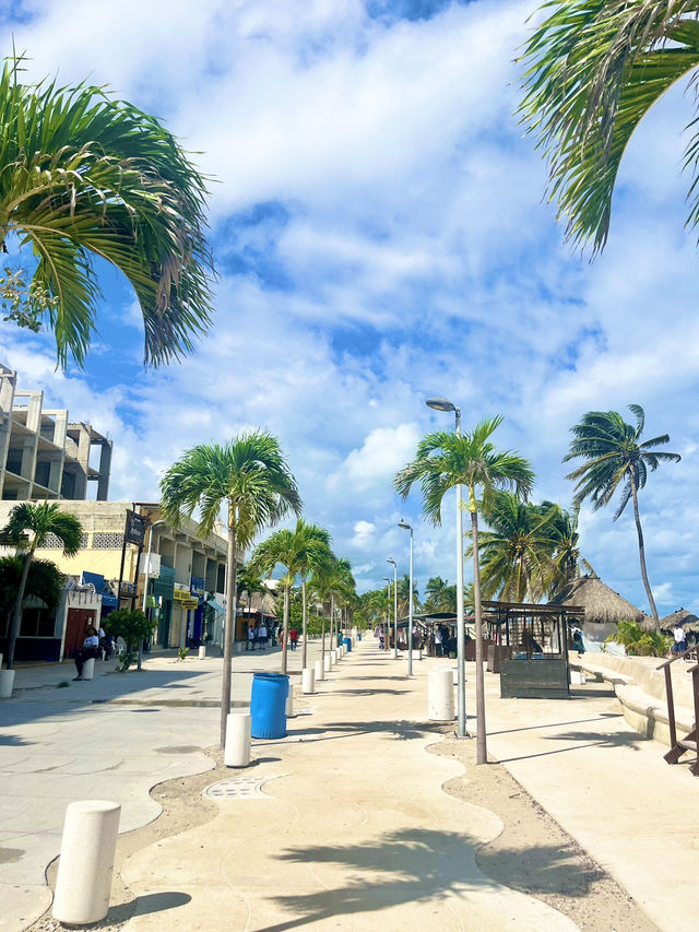 メキシコのユカタン半島のビーチ🏖️