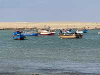 Paracas 'mini Galapagos' and National Reserve trip