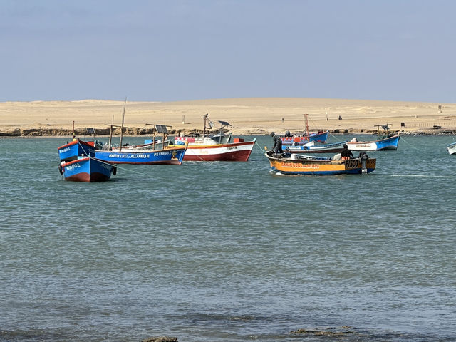 Paracas 'mini Galapagos' and National Reserve trip Paracas 'mini Galapagos' and National Reserve trip