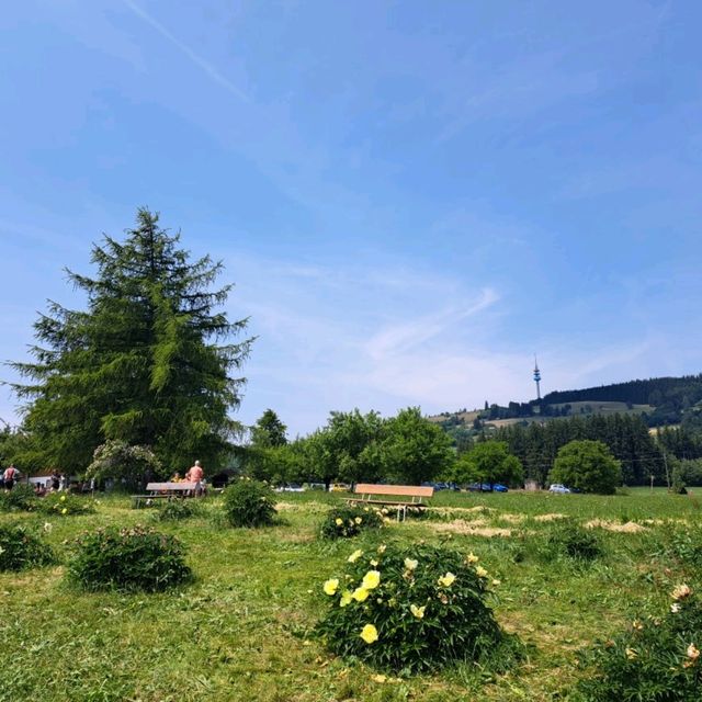 德國巴伐利亞6月芍藥季-免費參觀-Wiggensbach 小鎮賞花