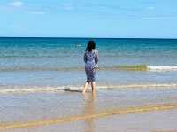 Scottish Highlands Beach 🏴󠁧󠁢󠁳󠁣󠁴󠁿