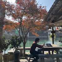 Wuzhen - the beauty of the past 🇨🇳