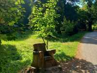 Beautiful castle 🗺️