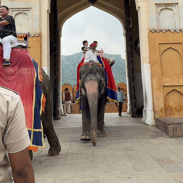 Beyond the Walls of Amber: A Jewel of Jaipur