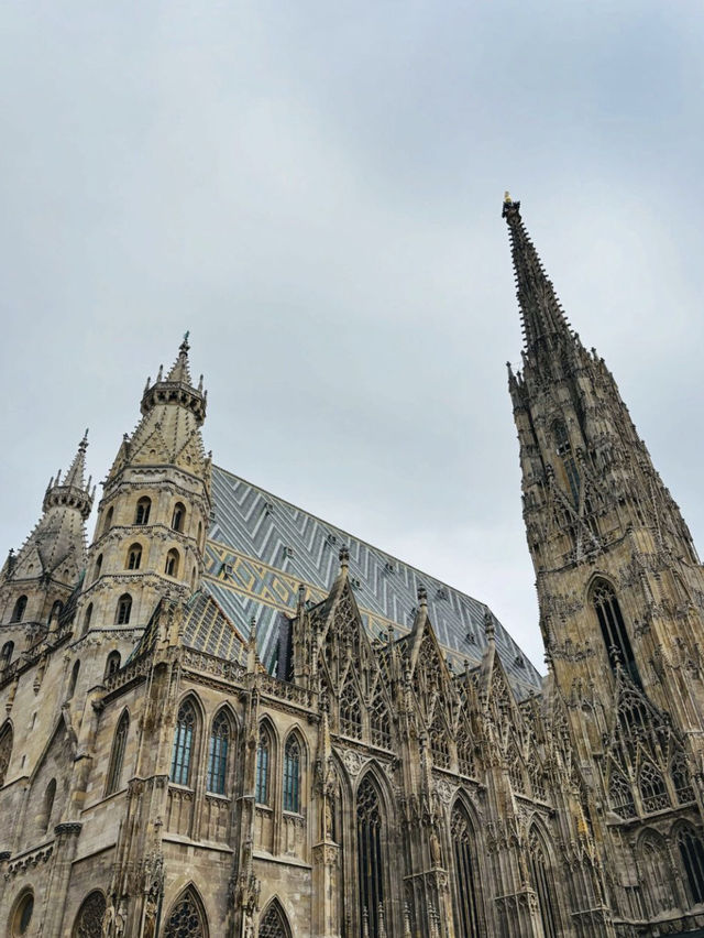 Vienna city scape 🏙️