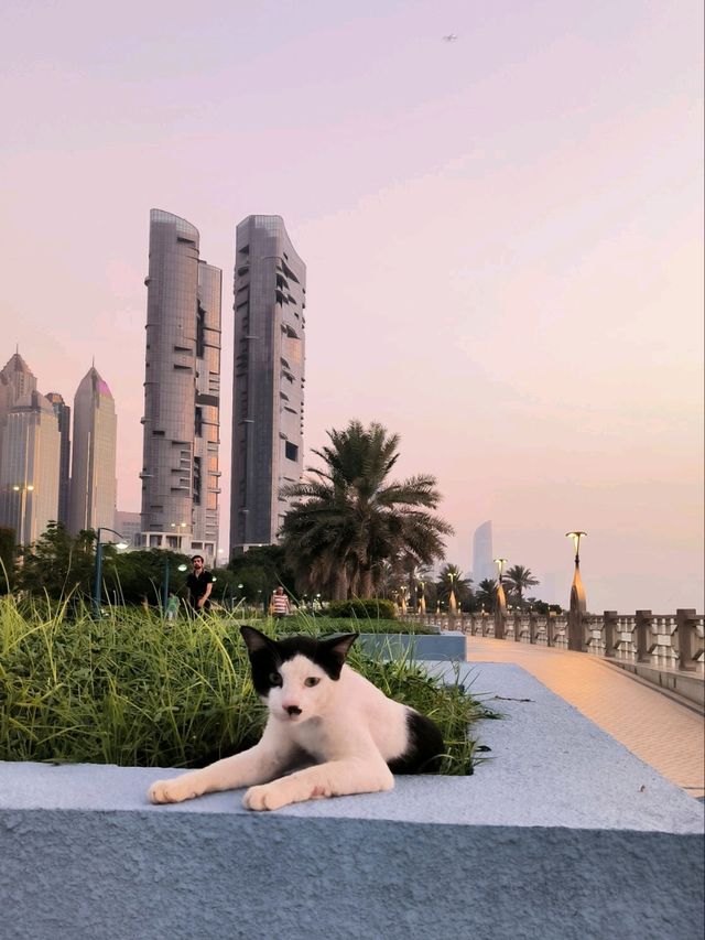 Abu Dhabi Walking Shore