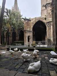 Cathedral of Barcelona: A Glimpse into Gothic Grandeur ⛪✨