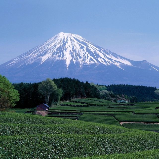 Mount Fuji mountain: The popular hiking destination in Japan