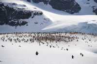 🇦🇶 Day 5-8: FINALLY REACHED ANTARCTICA