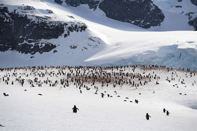 🇦🇶 Day 5-8: FINALLY REACHED ANTARCTICA