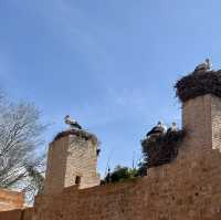 Don’t miss Rabat!