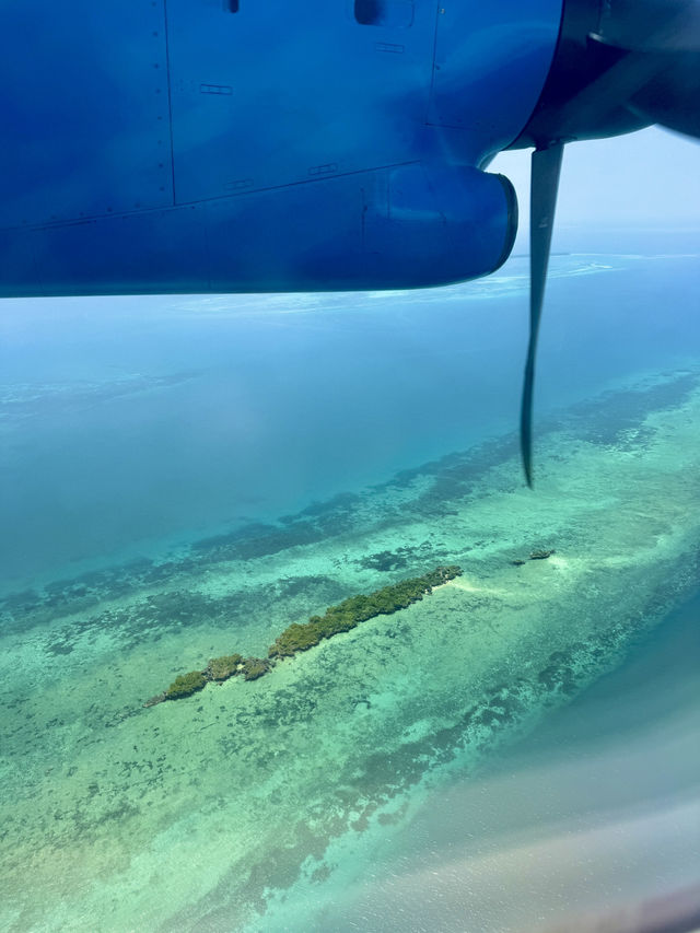 Tropical Dreams of Zanzibar Island 🏝️ 