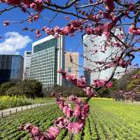 How to spend 4 days in Tokyo