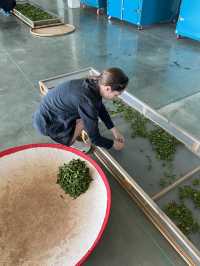 Making your own tea in Georgia