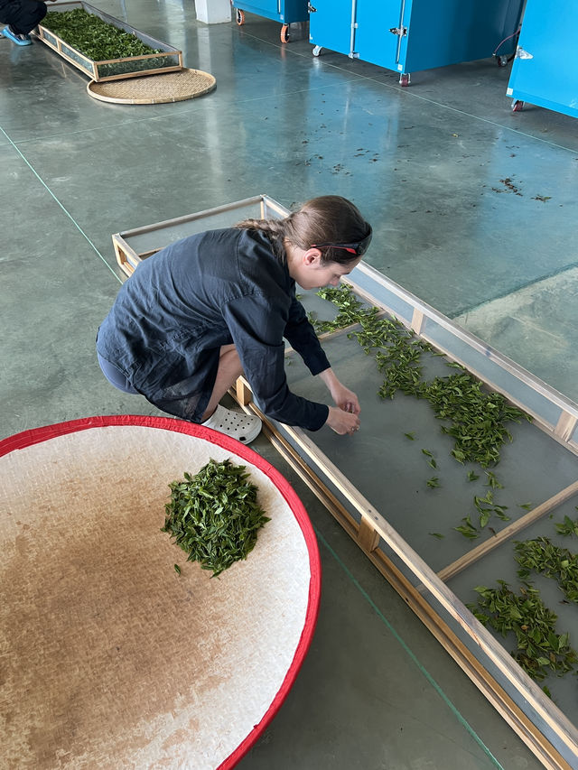 Making your own tea in Georgia