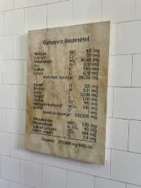 🇭🇺 Soaking in Local Authenticity: A Day at Lukács Baths