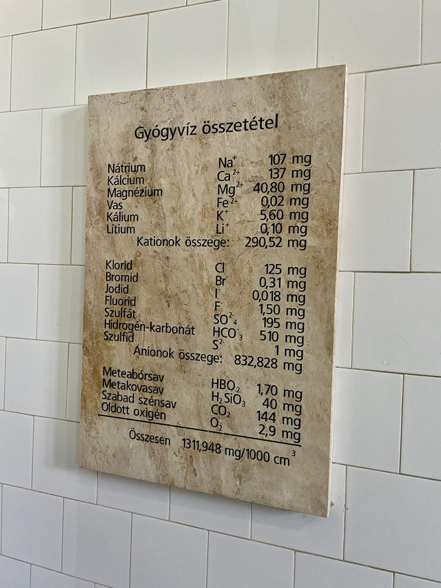 🇭🇺 Soaking in Local Authenticity: A Day at Lukács Baths