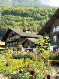 Wooden Charm & Alpine Dreams