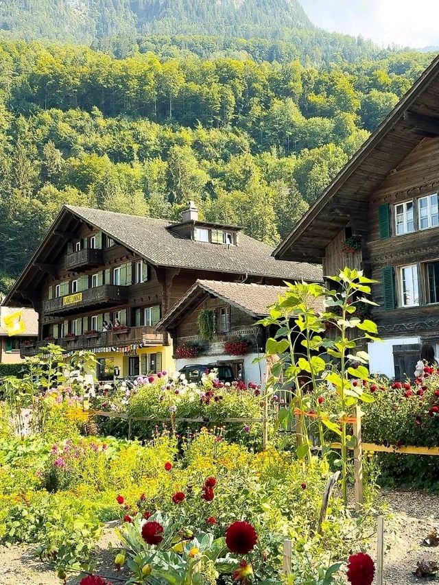 Wooden Charm & Alpine Dreams