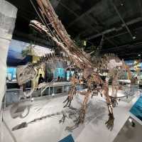 Dinosaurs, nice exhibitions in Natural History Museum of China 