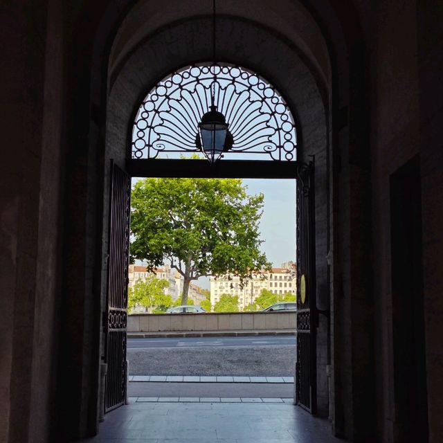 pretty Lyon
