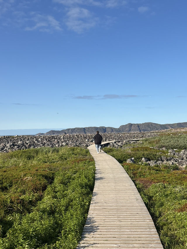 Unforgettable Arctic Adventures