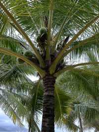 Nha Trang is the most famous resort in Vietnam. 