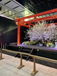 Tokyo | Nice experience at Tokyo Haneda Airport