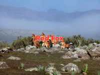 Amazing visit to Ethiopian Tourist areas 