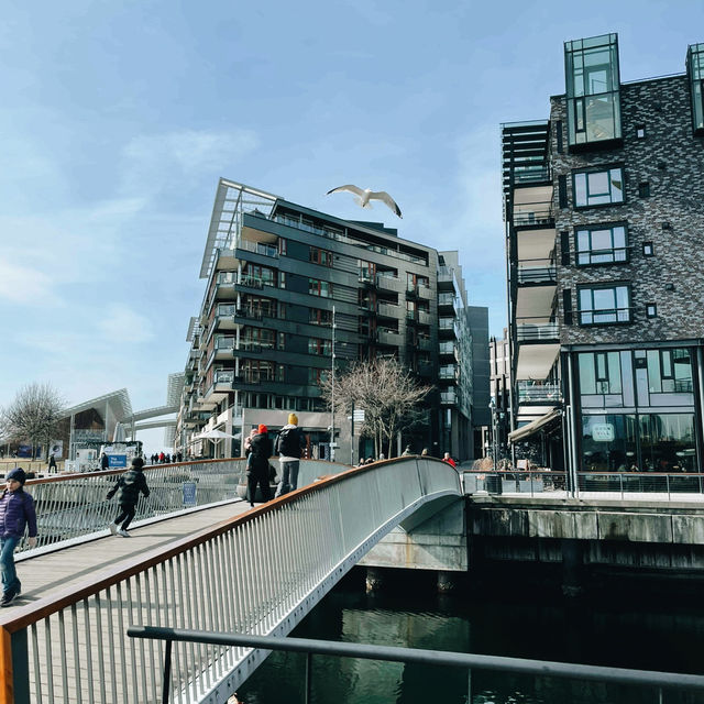Oslo on a Shoestring: Fjords, Parks & City Vibes