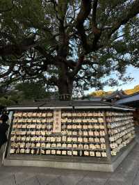 Tokyo and Kyoto: where pop culture, street food, and peaceful shrines collide