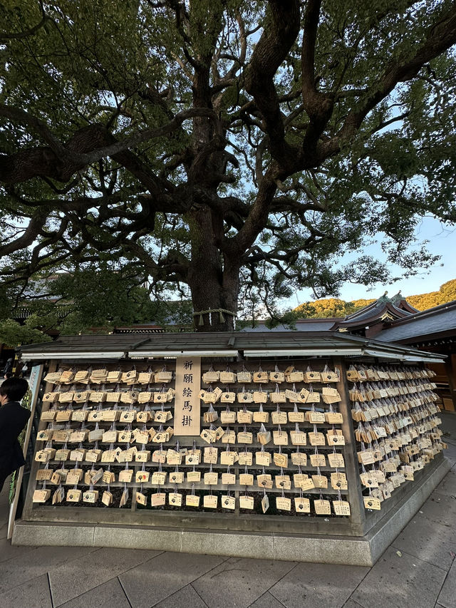 Tokyo and Kyoto: where pop culture, street food, and peaceful shrines collide