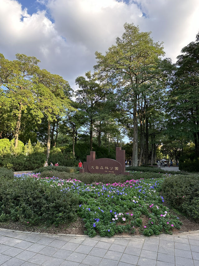 Taipei’s hidden gems and world-class eats await!