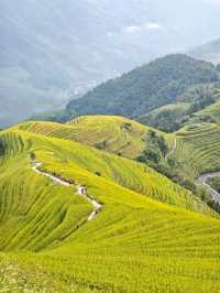 🌾 Longji Rice Terraces: A Living Masterpiece in the Mountains 🌄