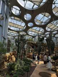 Shanghai Greenhouse Garden 🌿✨