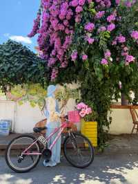 The Perfect One-Day Escape to Büyükada from Istanbul 🚲🌊