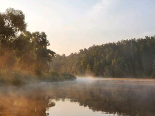 ⭐️ Exploring Belarus' Nature Gem: Top Spots in Gomel Region 🌳

If you love nature, the Gomel region in Belarus is seriously underrated! This area is a paradise for getting lost in forests, chilling by tranquil rivers, or spotting wild animals in their element. 🦫

Must-See Nature Spots in Gomel Region:

1. Pripyat National Park
Address: Pripyat, near Turov
Open: 24/7
Highlights: Lush wetlands, wild bison and elk, birdwatcher’s dream. Bring binoculars and waterproof shoes!

2. Vetka Museum of Old Belief and Belarusian Traditions
Address: Savetskaya St 2, Vetka
Open: 10:00-18:00 (Closed Mondays)
Tip: Great for a culture fix; the museum has fascinating folk art and local crafts.

3. Gomel Palace & Park Ensemble
Address: Lenin Sq 4, Gomel
Open: 10:00-18:00
Why: Stunning 19th-century palace and manicured parkland—perfect for slow walks and pics by the Sozh River.

4. Turov Town & Turov Meadows
Location: Turov
Why: Tiny town with unique churches, sprawling meadows, bird migration hotspot in spring. Early morning = magic hour for photos!

Getting Around:
Hiring a car is best for exploring—public transport reaches big towns, but some parks/gems are off the main path. Google Maps here isn’t always precise, so prep routes in advance!

Food Rec:
Try draniki (Belarusian potato pancakes) at local guesthouses or central cafes in Gomel city for homemade vibes. 🍽️

Extra Tip:
ATMs aren’t everywhere, so stock up on Belarusian rubles in bigger towns. Bring insect repellent if venturing into marshy areas!

#GomelRegion  #BelarusNature  #OffTheBeatenTrack  #NatureLovers  #Tripdotcom 