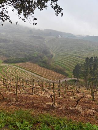Getaria 與 Txakoli：飽覽海景與品嚐地道美酒