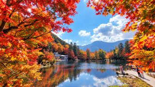 I chose a day trip to Kyushu for autumn foliage viewing through Trip.com, and it was a wonderful experience with both beautiful scenery and a great time.