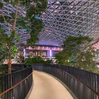 Qatar airport connecting flights waiting 10h