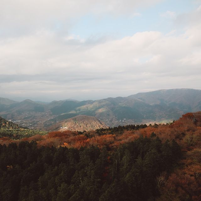 🇯🇵箱根空中纜車