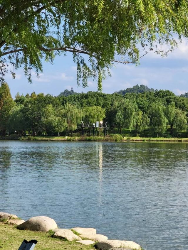 靈湖公園 吹著微風 享受這人世間獨一份的快樂