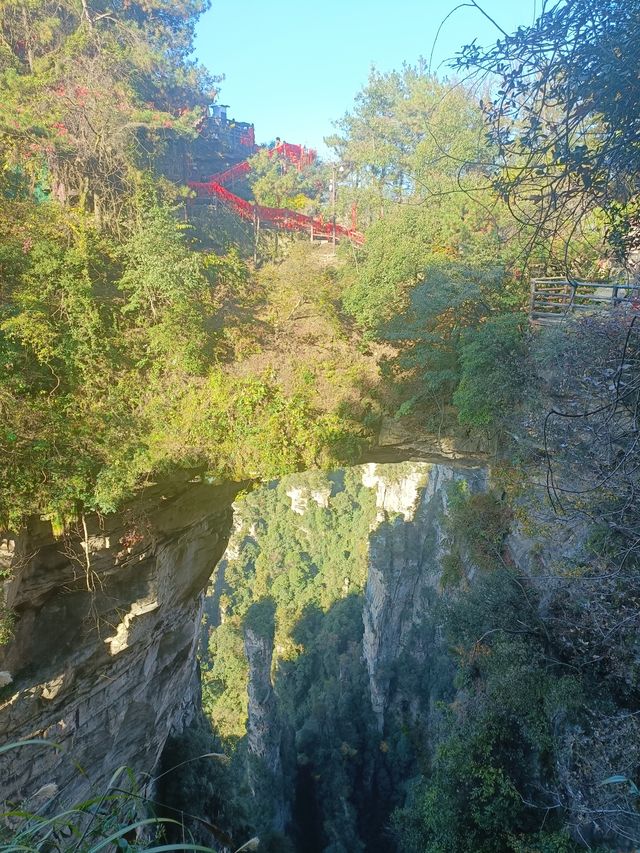 張家界之森林公園（袁家界楊家界天子山十里畫廊金鞭溪）