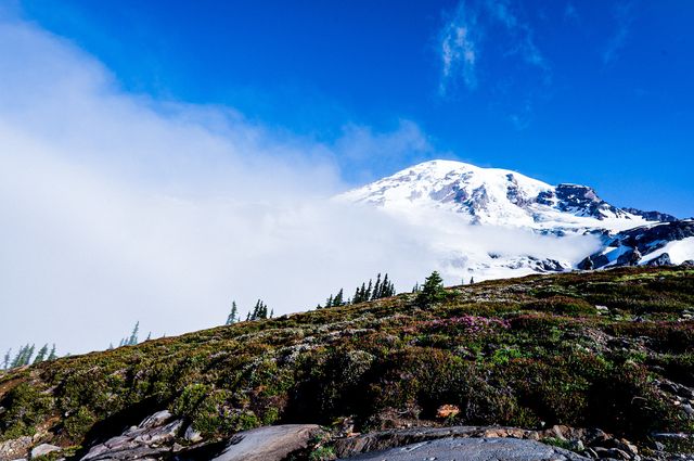 北美州名聞暇迩的雷尼爾山